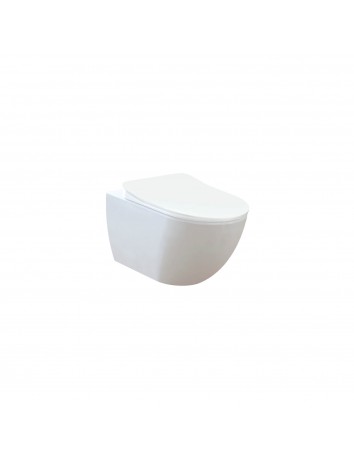 FE322 Free Rim-Off Wall Hung Pan Combined Bidet